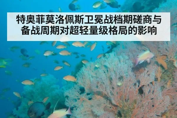特奥菲莫洛佩斯卫冕战档期磋商与备战周期对超轻量级格局的影响